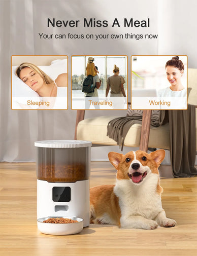 "Transform Mealtime Chaos into Peaceful Routine"